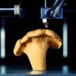 Chanterelle in a 3D printer