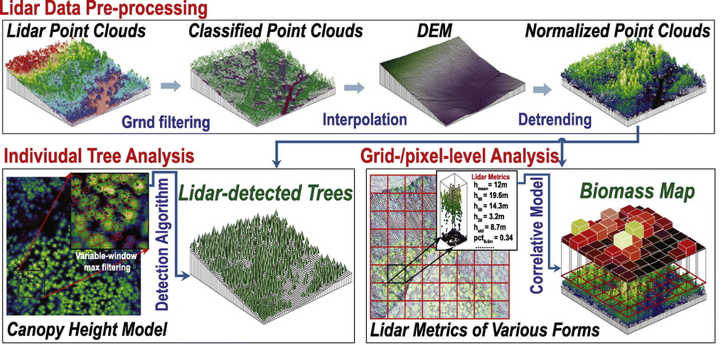 A typical workflow to derive forest information at individual tree or plot levels from lidar point clouds