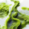 Algae-Based Inks