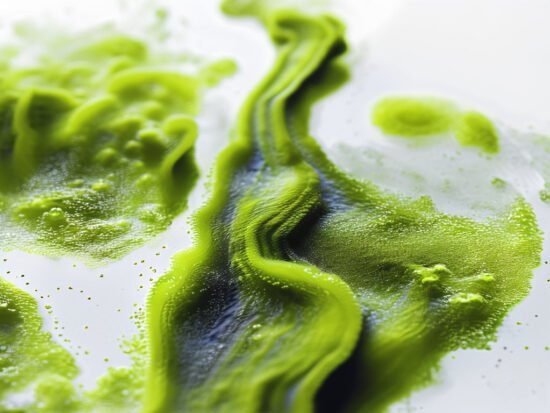 Algae-Based Inks